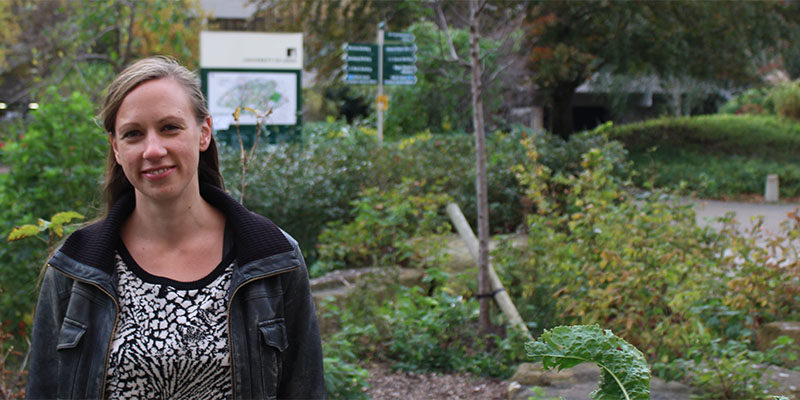 Sustainability Architect Clare