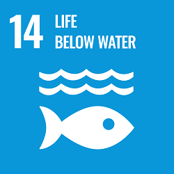 United Nation Sustainable Development Goal 14: Life below water