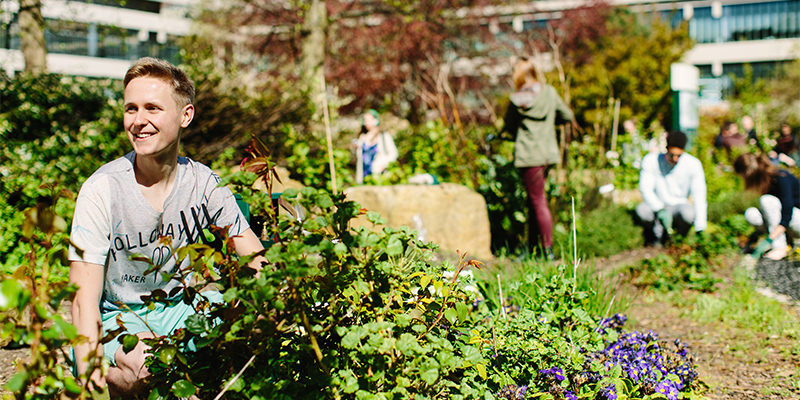 students attended to garden