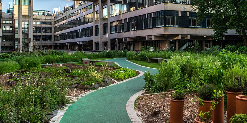 path through sustainability garden