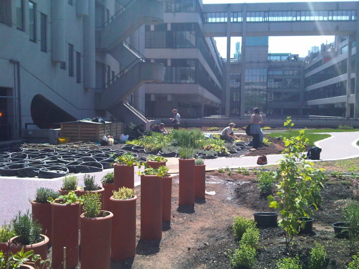 Picture of the Sustainable Garden