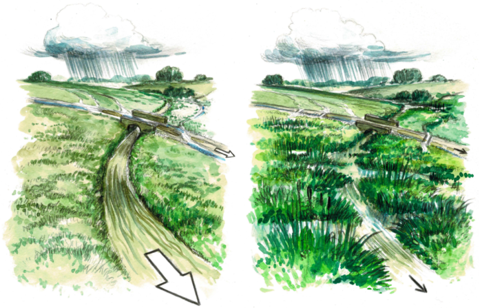 Bodington Fields Wetland Scrapes and Cross-Track Drains Image