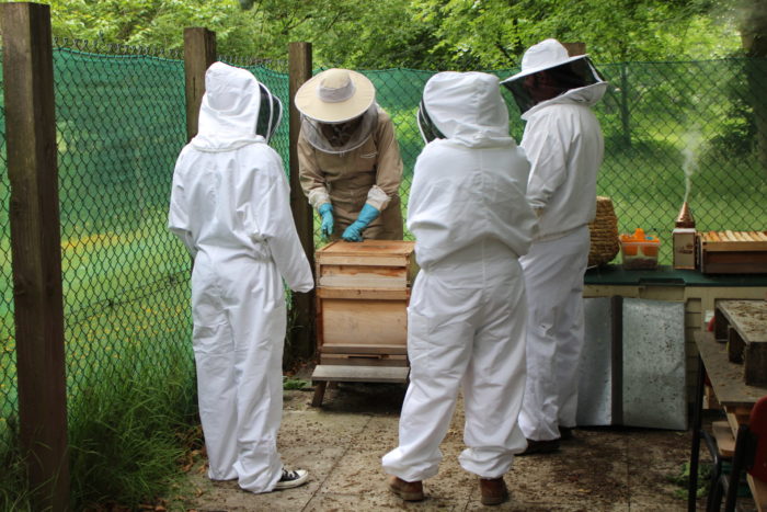 Image of beekeepers tending a hive at the University of Leeds