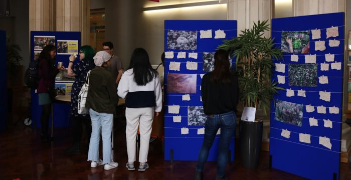 PIcture of attendees at the conference poster exhibition looking at the photography display.