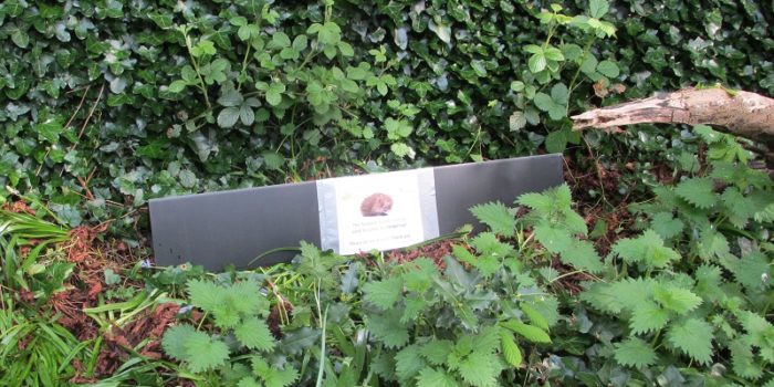 Photograph of a hedgehog tunnel set up in green space on the University campus as part of the Hedgehog Friendly Campus scheme