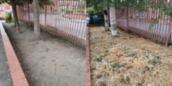 A before and after comparison of the garden; bare, compressed soil on the left and green, straw covered soil on the right with green plants growing.