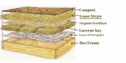 A diagram of the lasagne gardening method, depicting the different layers of organic matter placed on the soil. From the top layer: Compost, Loose Straw (sprinkled with fertiliser), Organic Fertiliser, Lucerne hay, Box Frame.