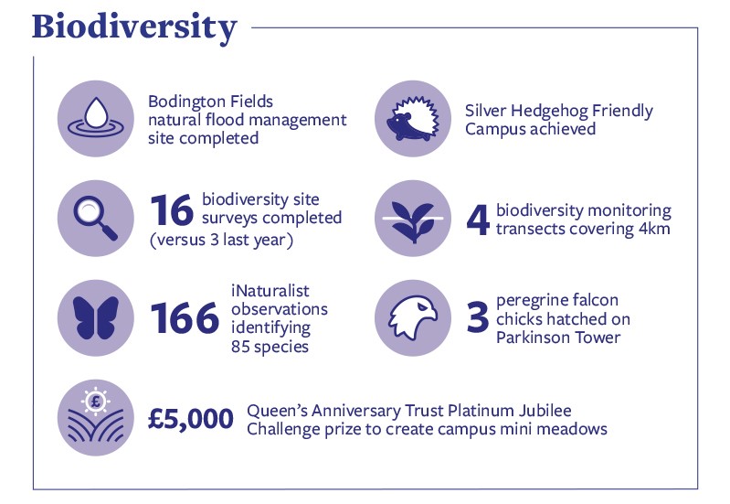 Under the heading 'Biodiversity' the infographic shows the following stats: Bodington Fields natural flood management site completed. Silver Hedgehog Friendly Campus achieved. 16 biodiversity site surveys completed (versus 3 last year). 4 biodiversity monitoring transects covering 4km. 166 iNaturalist observations identifying 85 species. 3 peregrine falcon chicks hatched on Parkinson Tower. £5,000 Queen’s Anniversary Trust Platinum Jubilee Challenge prize to create campus mini meadows.