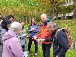 A group of happy looking people of a range of ages taking part in leaf identification.