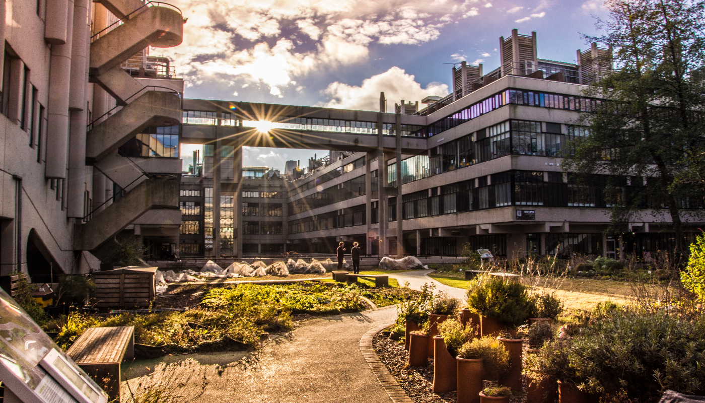 A view of the Sustainable Garden with the sun shining through it, looking towards the FBS building.