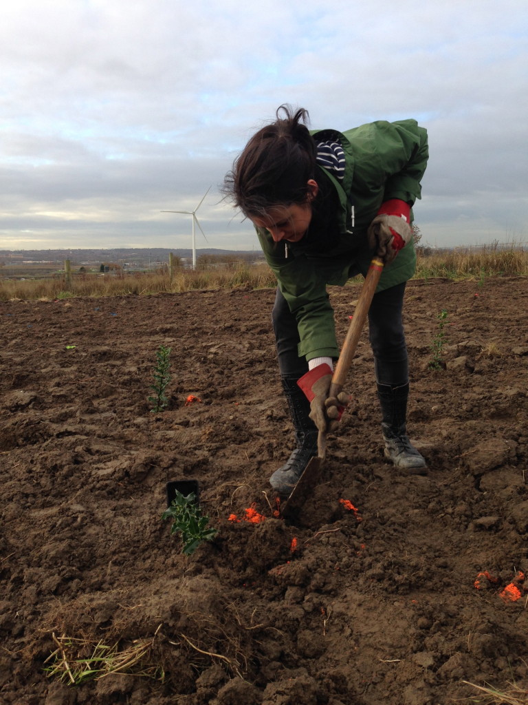 International Day of Women and Girls in Science: Sustainability ...