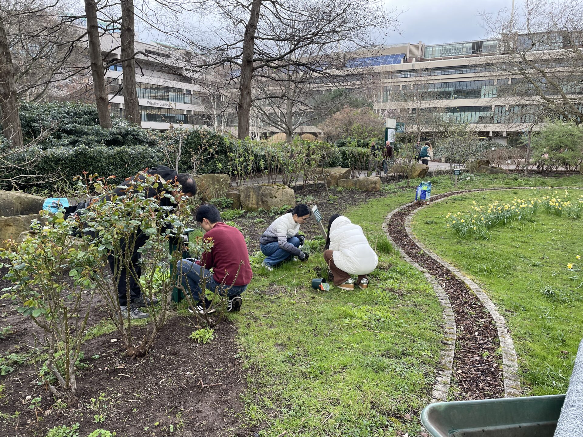 Four people are in the University of Leeds Sustainable Garden doing some gardening.