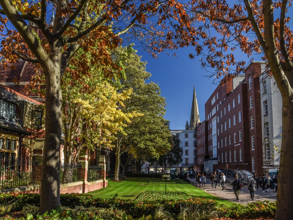 Outside the Great Hall looking at the Michael Sadler Building. There is blue sky and autumn leaves on the trees.