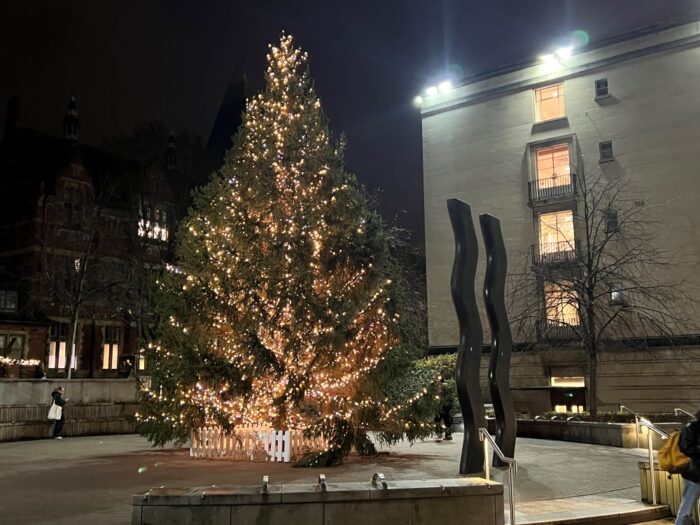 The University of Leeds Christmas tree 2024