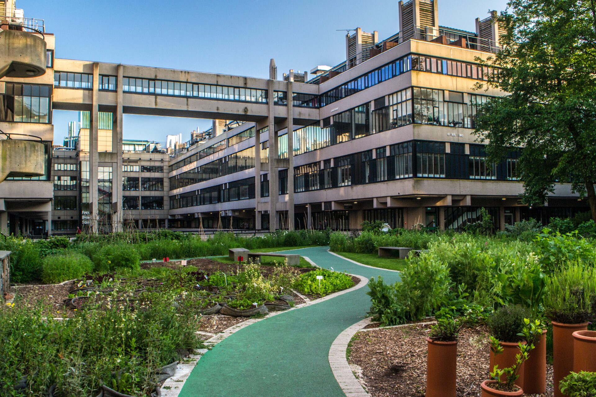 The Sustainable Garden