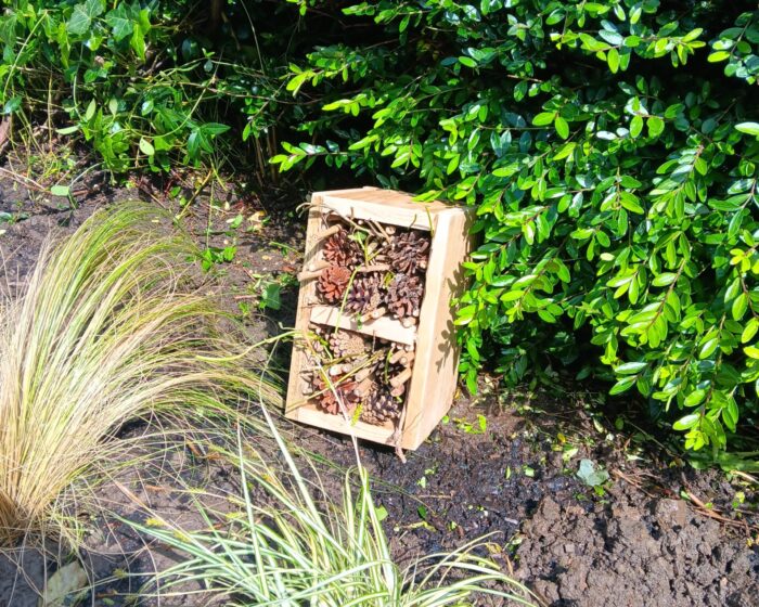 A bug hotel in the undergrowth of a bush. 